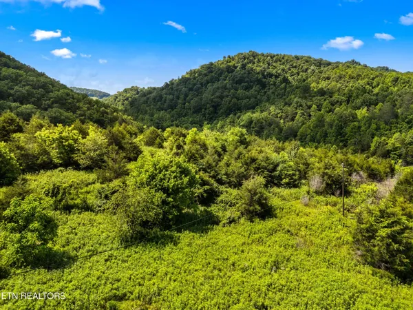 $225,000 | 111 Kyle Valley Road, Eidson, TN 37731