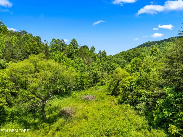 $225,000 | 111 Kyle Valley Road, Eidson, TN 37731