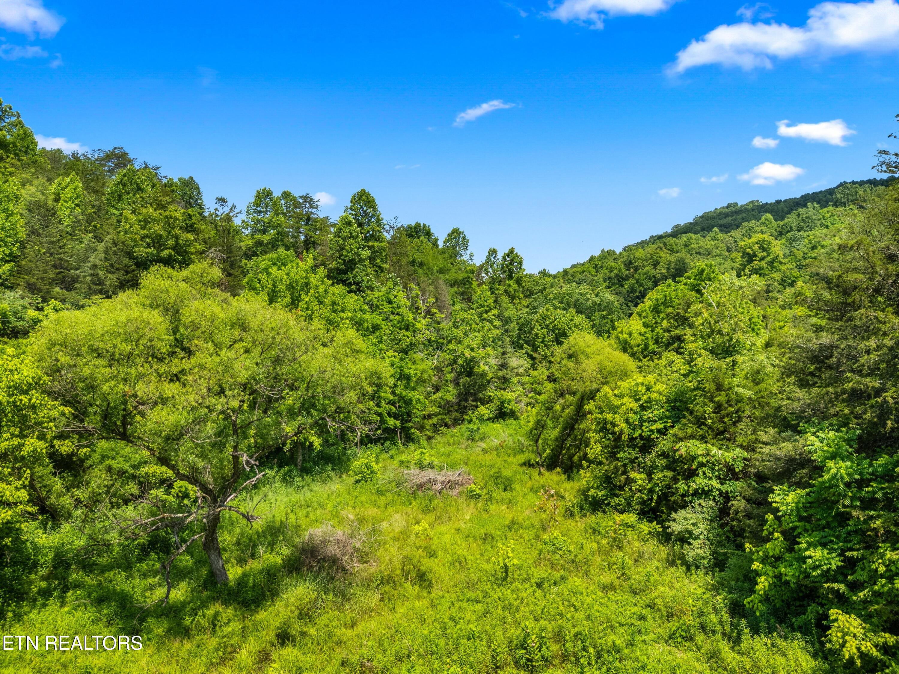 111 Kyle Valley Road Eidson, TN 37731 - Photo 36 of 36 053-111KyleValleyRoad-TN-37731-SMALL