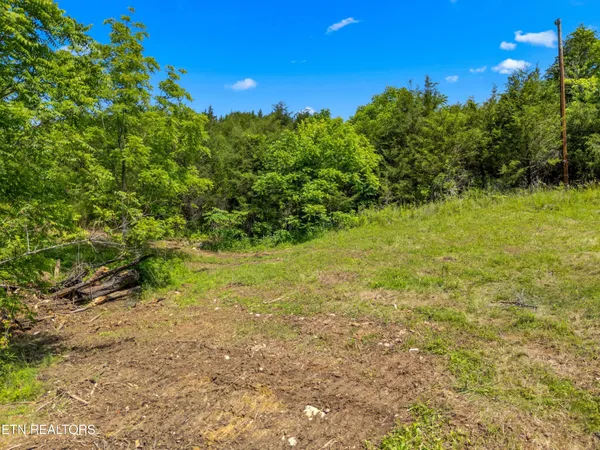 $225,000 | 111 Kyle Valley Road, Eidson, TN 37731