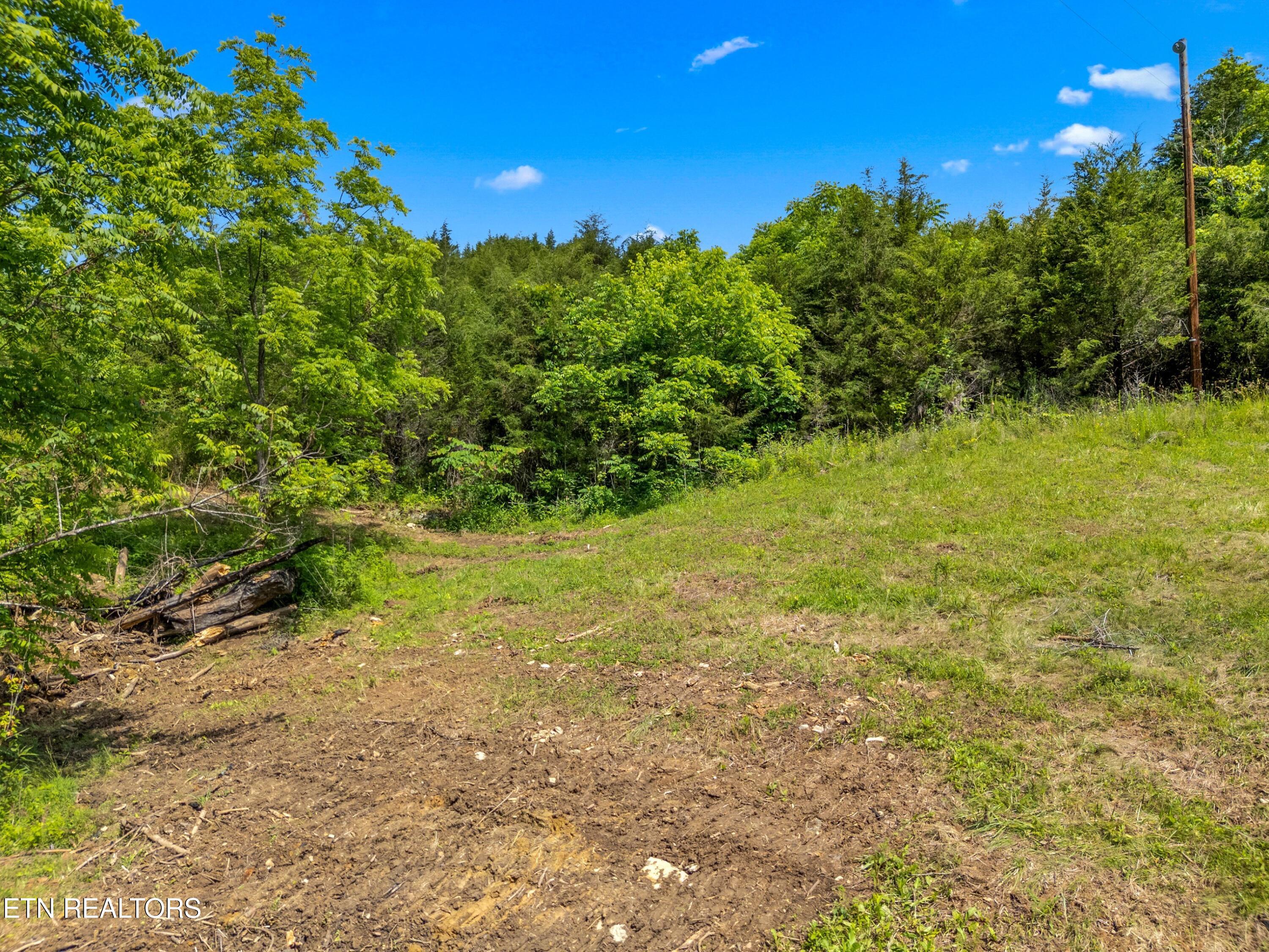 111 Kyle Valley Road Eidson, TN 37731 - Photo 5 of 36 018-111KyleValleyRoad-TN-37731-SMALL