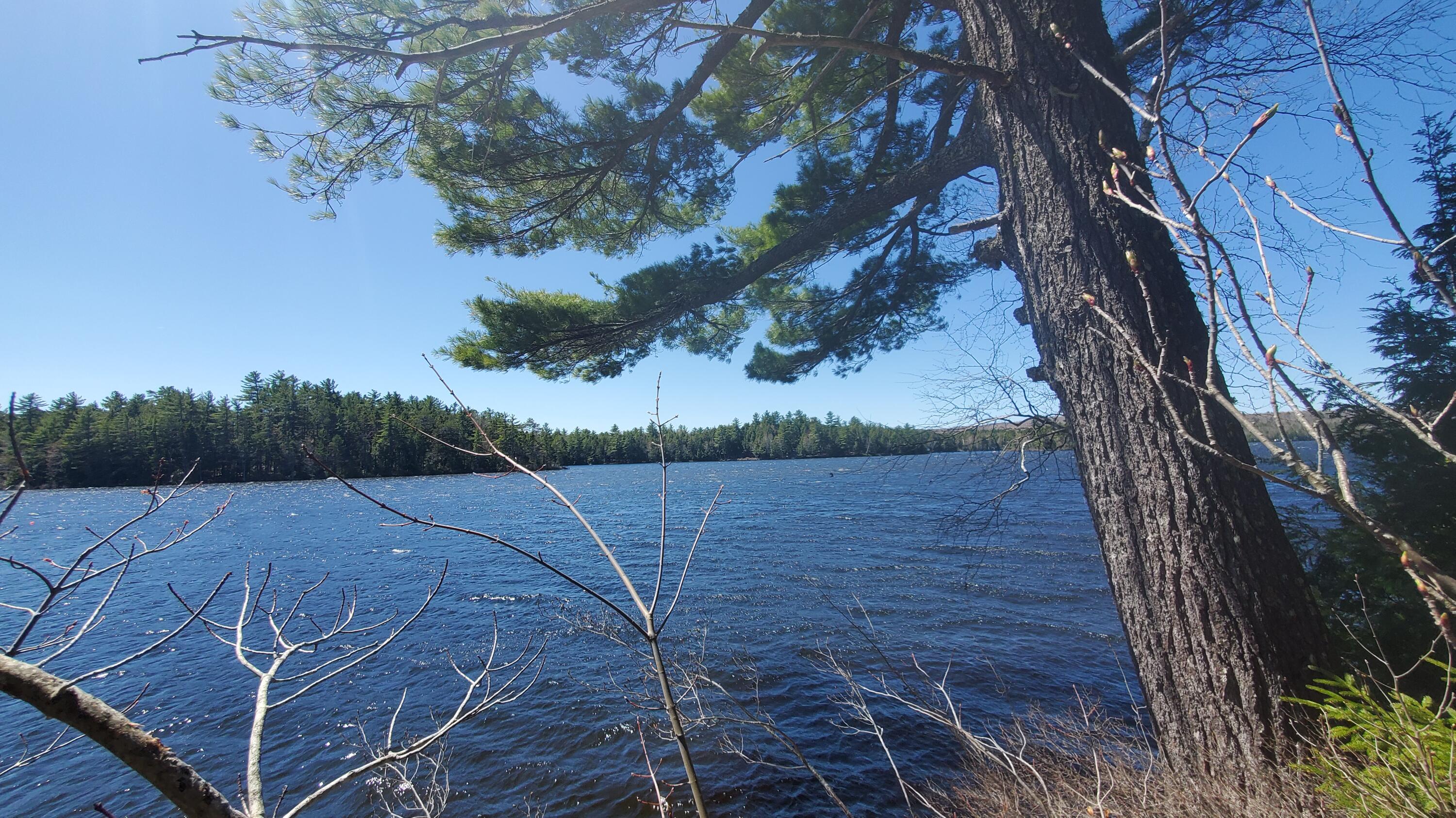 307 Lakeville Shores Road Lakeville, ME 04487 - Photo 8 of 39 20250430_113917