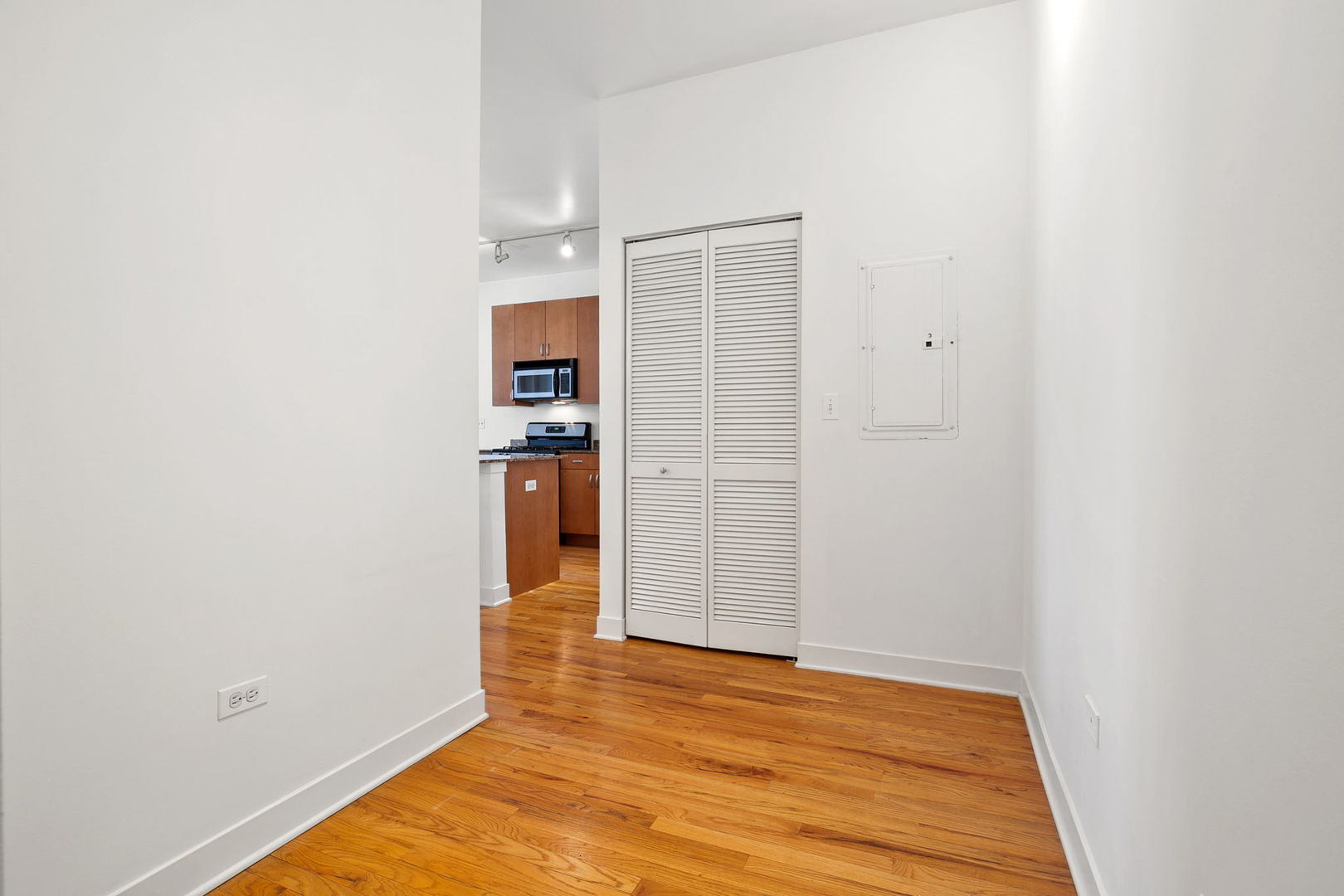 1515 South Halsted Street, Unit 204 Chicago, IL 60607 - Photo 15 of 26