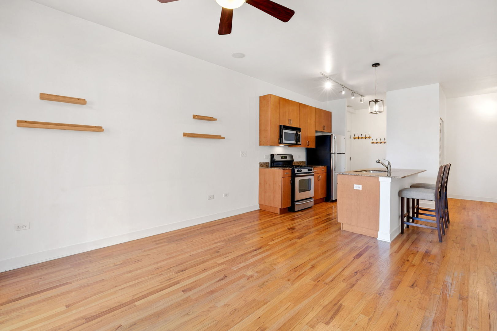 1515 South Halsted Street, Unit 204 Chicago, IL 60607 - Photo 4 of 26