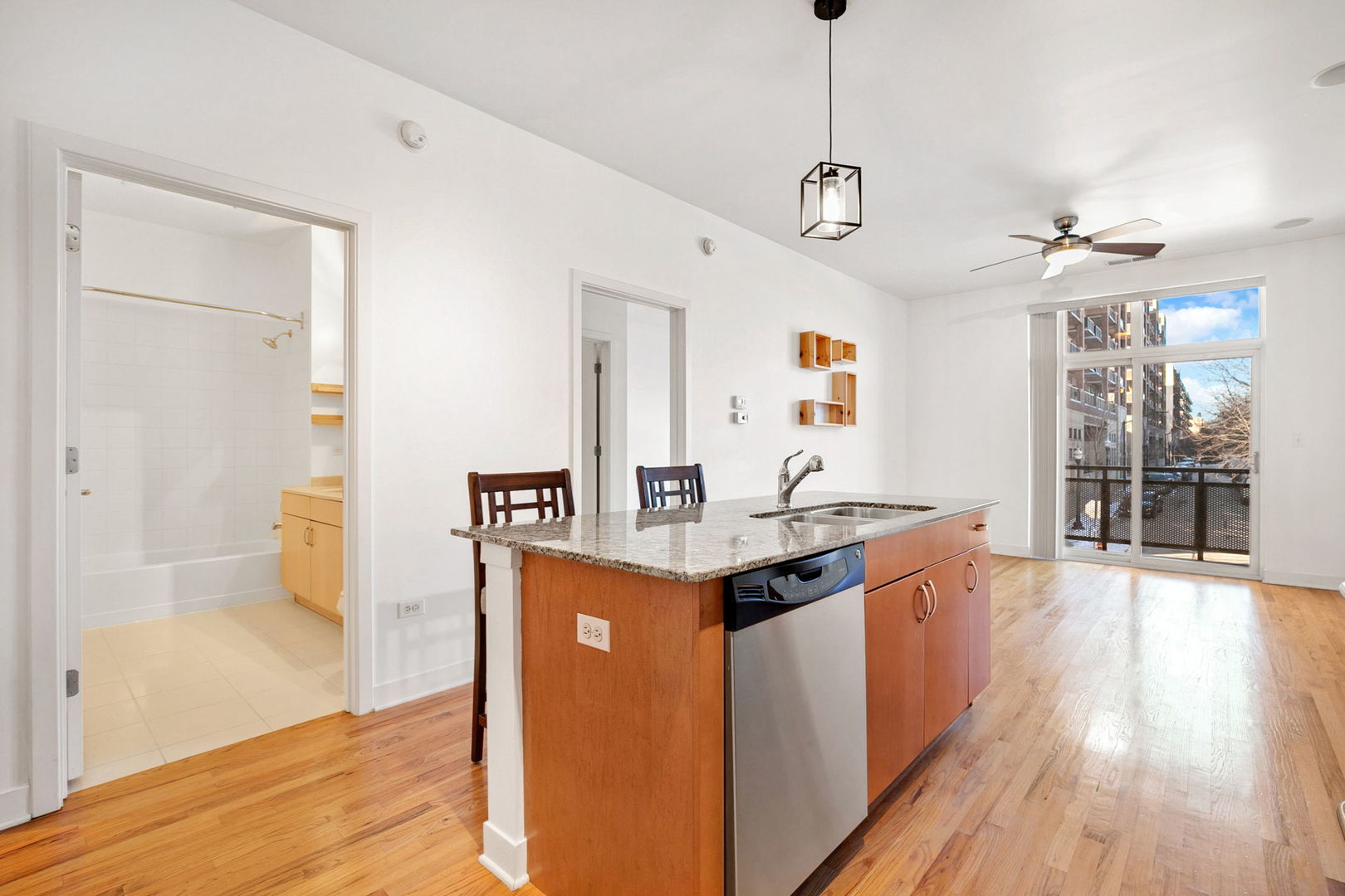 1515 South Halsted Street, Unit 204 Chicago, IL 60607 - Photo 8 of 26