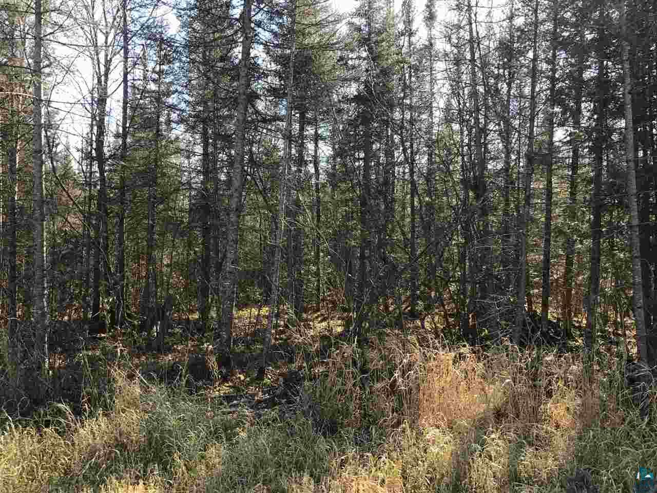 Two Old Drummond Road Two Harbors, MN 55616 - Photo 2 of 4 Gallery Image 2