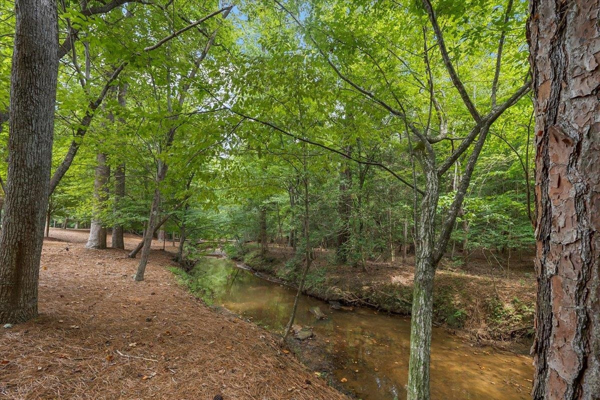 9712 Honeycutt Road Raleigh, NC 27614 - Photo 75 of 83 a view of a forest filled with trees