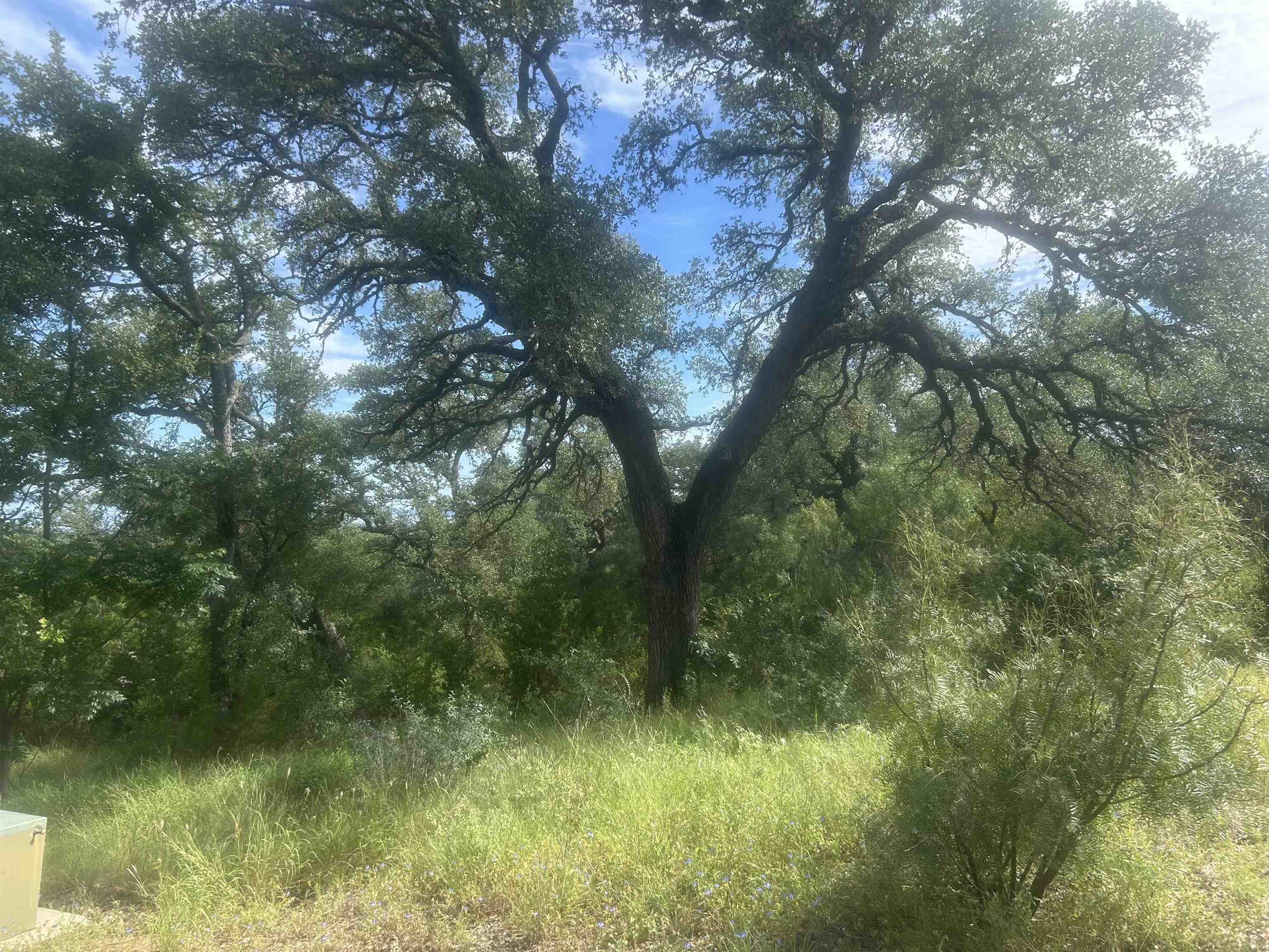 37 A Keystone Ridge Buchanan Dam, TX 78609 - Photo 13 of 25