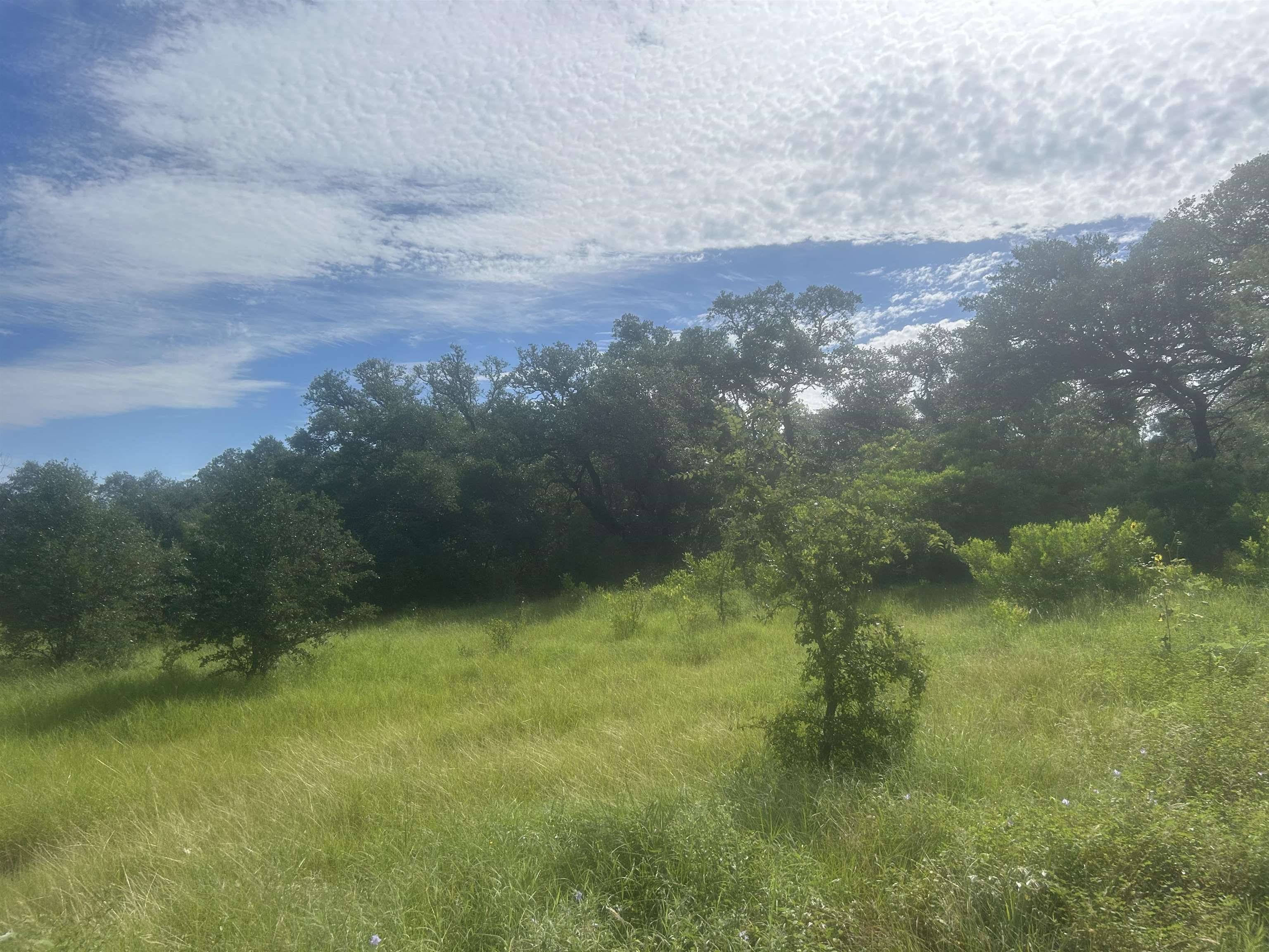37 A Keystone Ridge Buchanan Dam, TX 78609 - Photo 14 of 25 a view of a yard with a tree