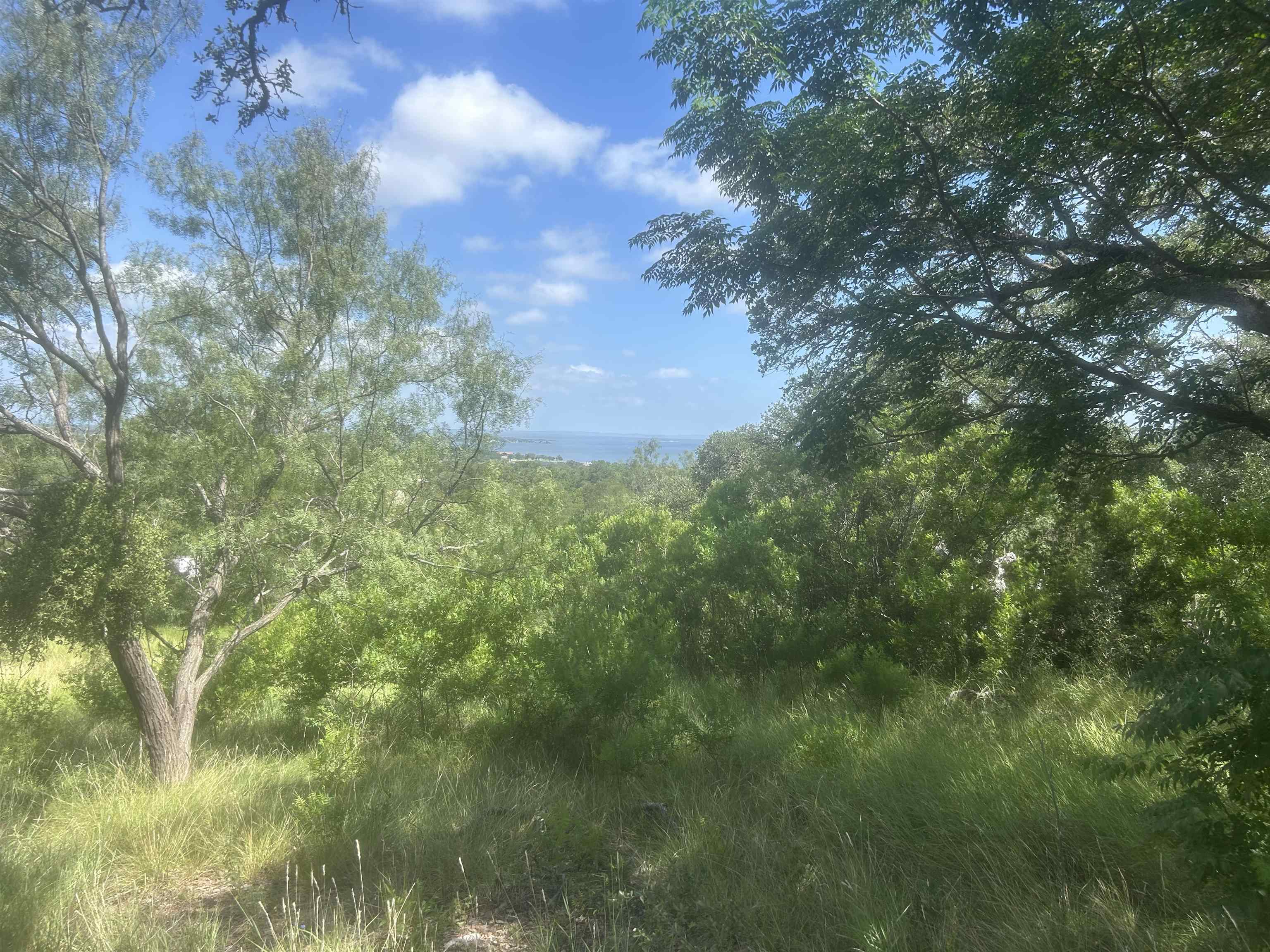 37 A Keystone Ridge Buchanan Dam, TX 78609 - Photo 21 of 25 a view of a yard