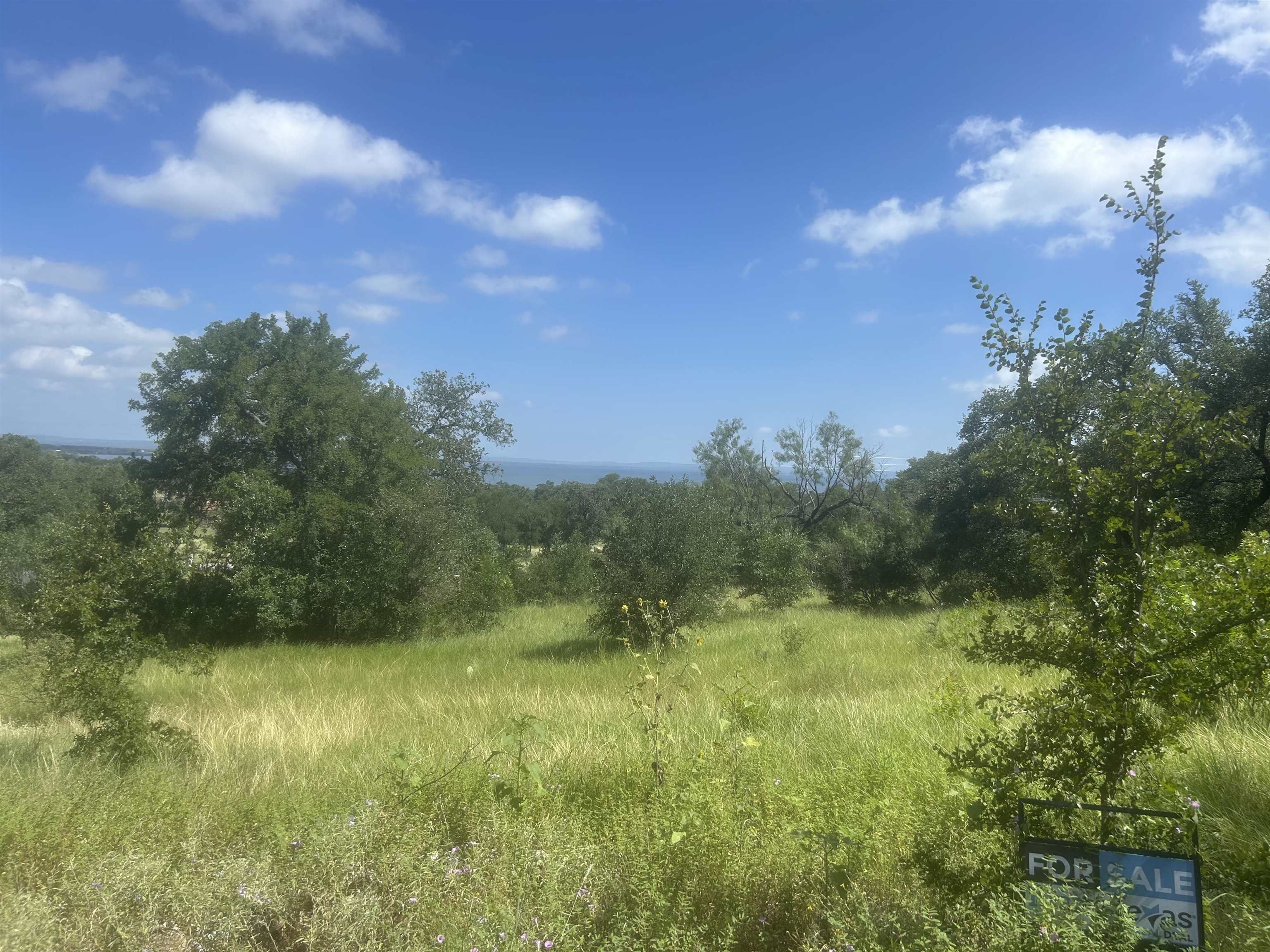 37 A Keystone Ridge Buchanan Dam, TX 78609 - Photo 23 of 25 a view of a green yard
