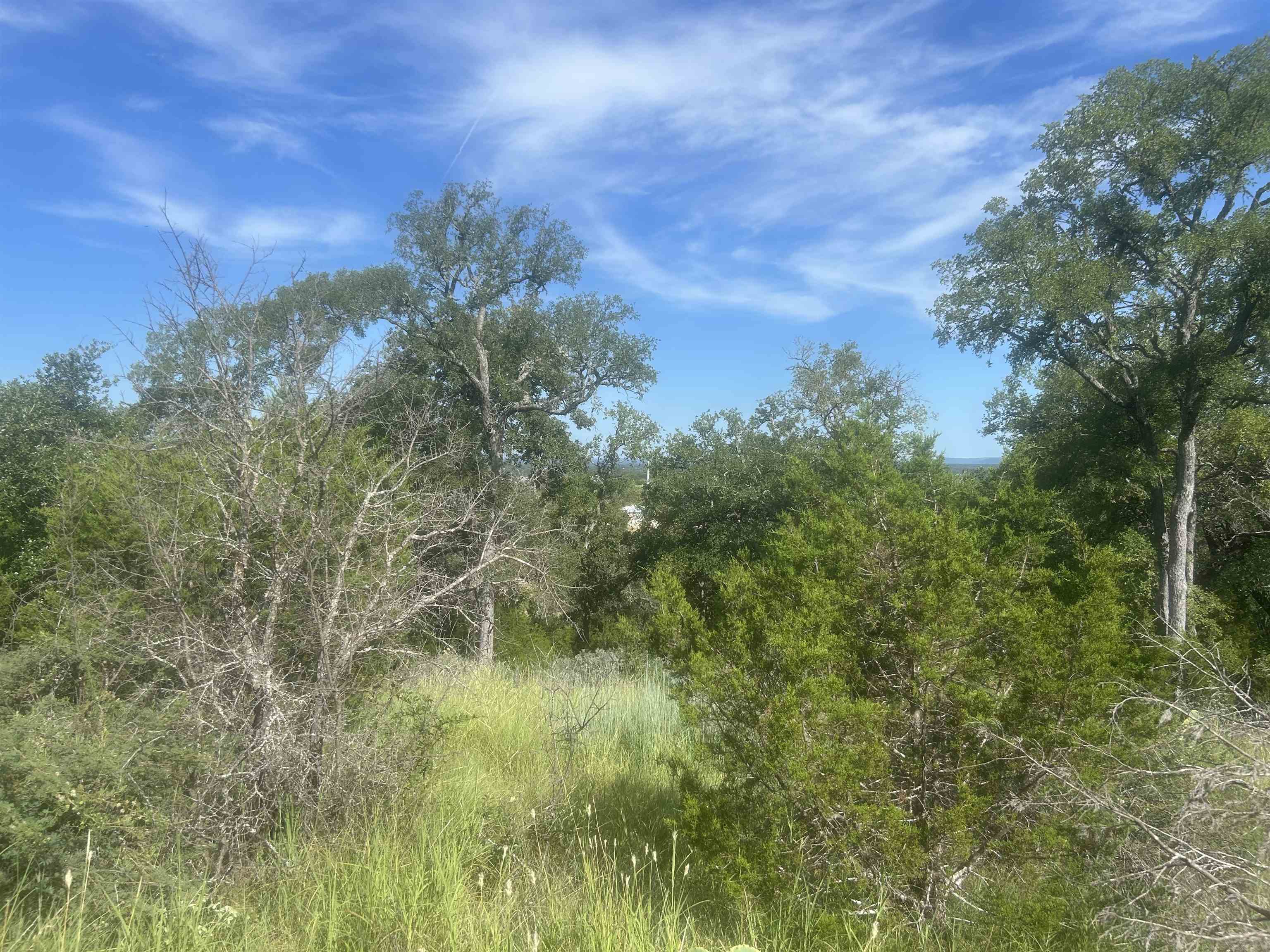 37 A Keystone Ridge Buchanan Dam, TX 78609 - Photo 8 of 25 a view of a lush green space