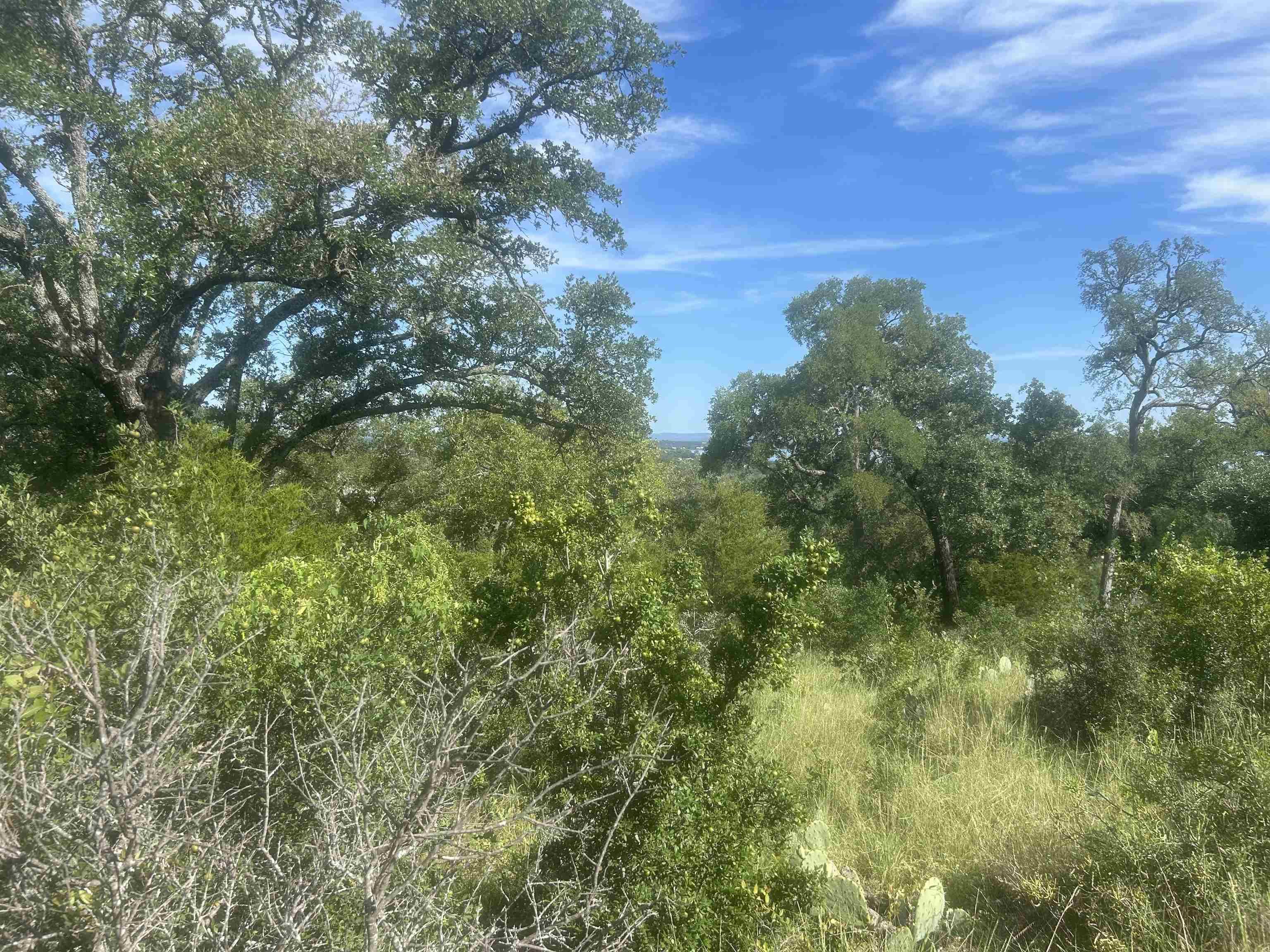 37 A Keystone Ridge Buchanan Dam, TX 78609 - Photo 9 of 25 a view of a green field