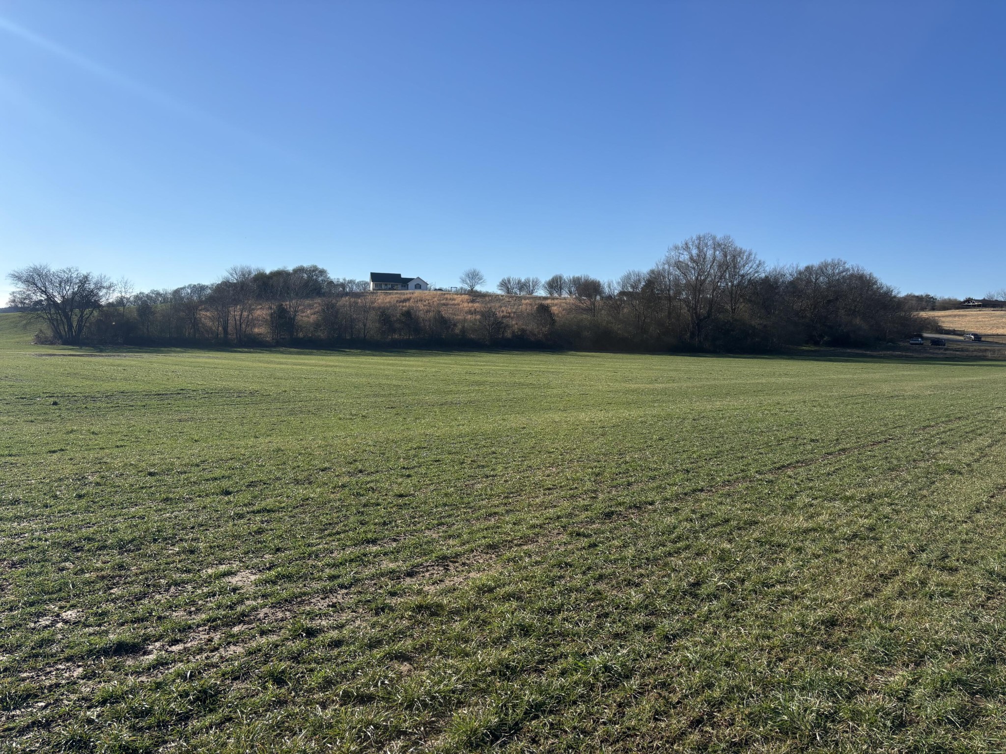 168 Moby Road Delano, TN 37325 - Photo 11 of 20