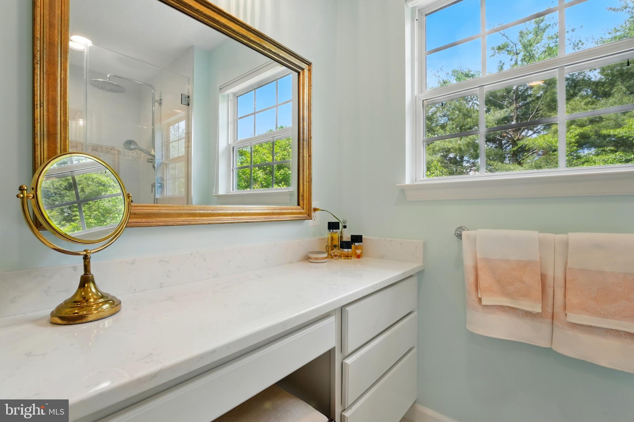 430 Devon Drive Warrenton, VA 20186 - Photo 27 of 47 a bathroom with a sink a mirror and a window