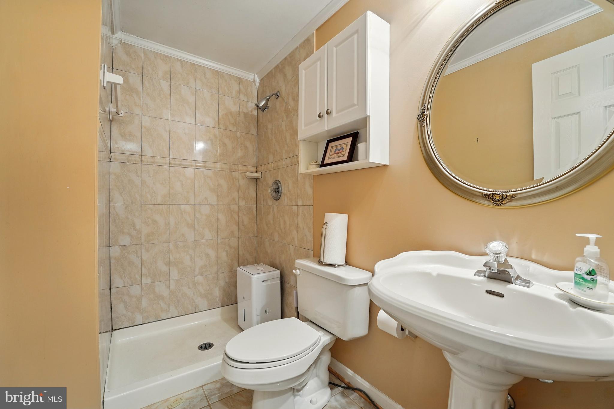 430 Devon Drive Warrenton, VA 20186 - Photo 35 of 47 a bathroom with a sink toilet and a mirror