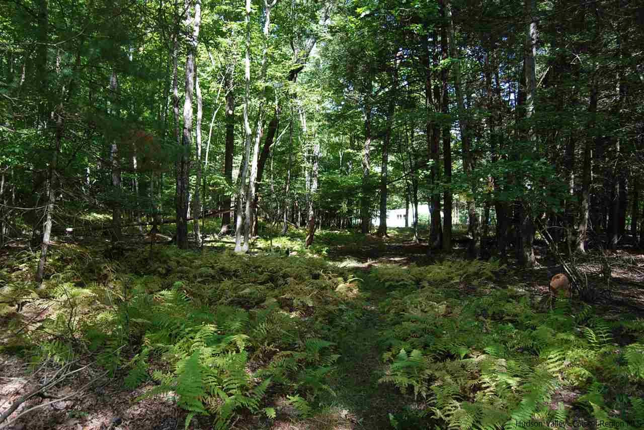93 Brown Road Olivebridge, NY 12461 - Photo 17 of 19 Photo 17