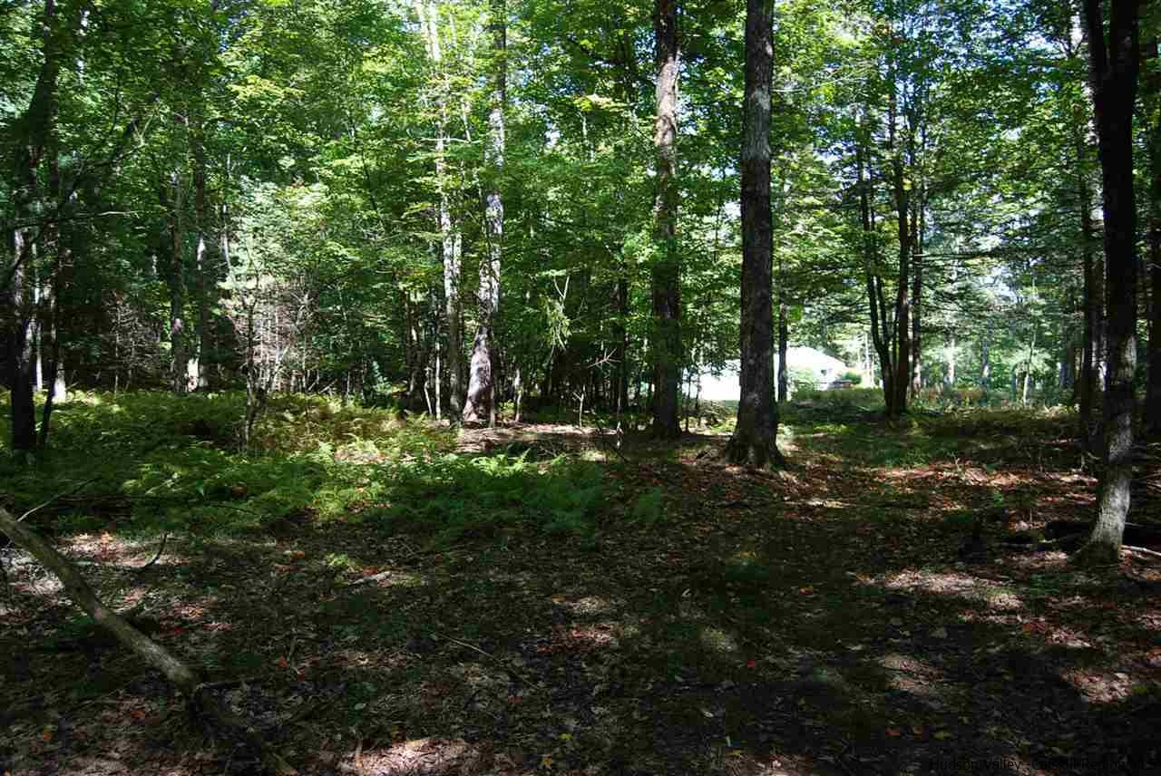 93 Brown Road Olivebridge, NY 12461 - Photo 18 of 19 Photo 18