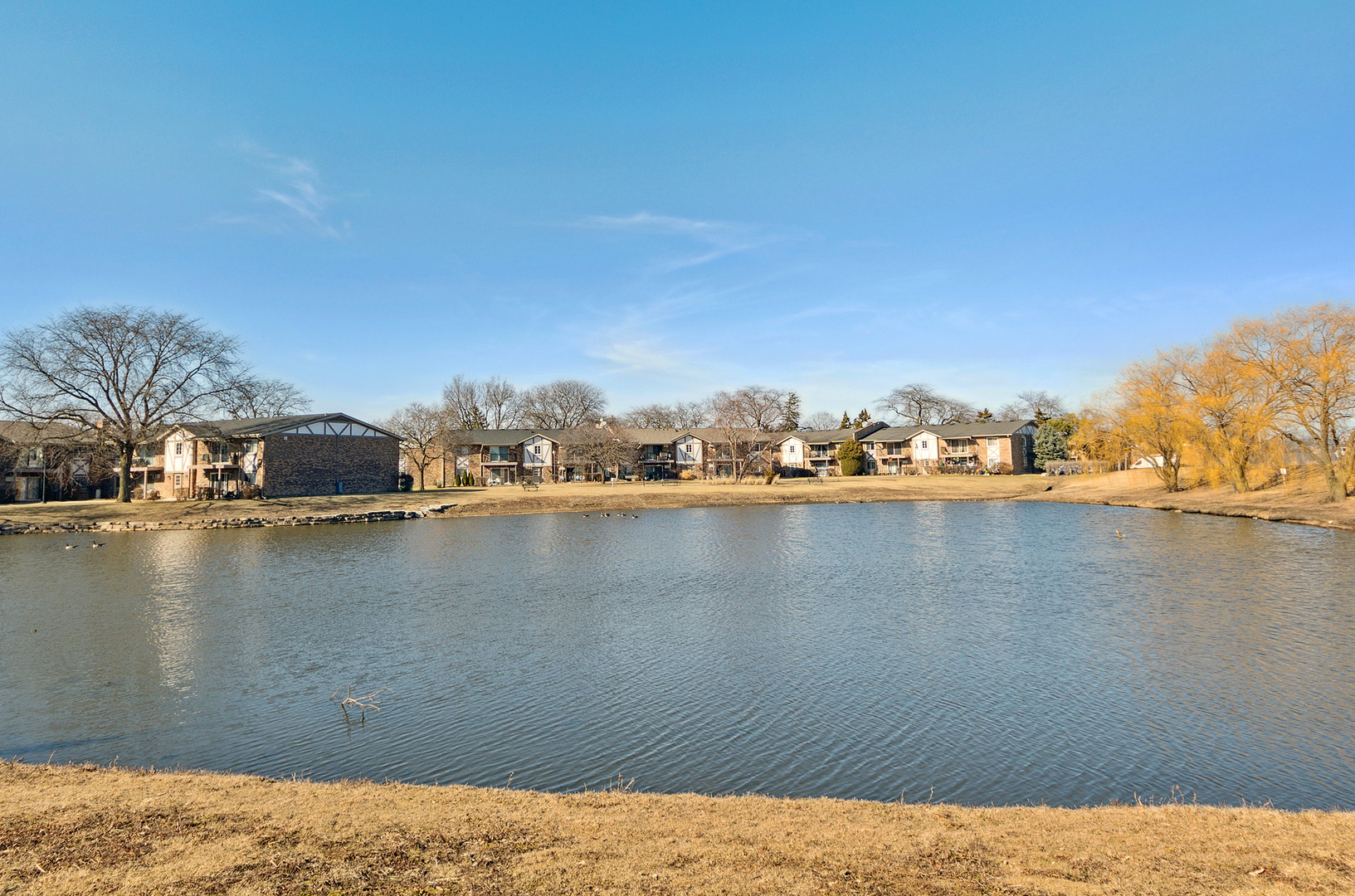 9-s120 Lake Drive, Unit 201 Willowbrook, IL 60527 - Photo 16 of 17 a view of lake