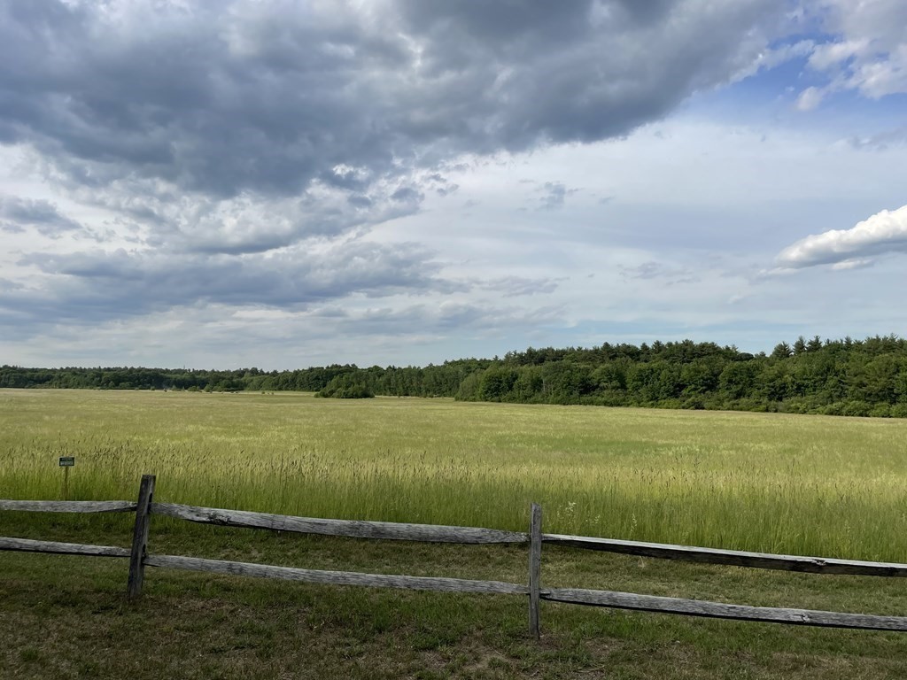 87 River Road Norfolk, MA 02056 - Photo 36 of 37 Gallery Image 36