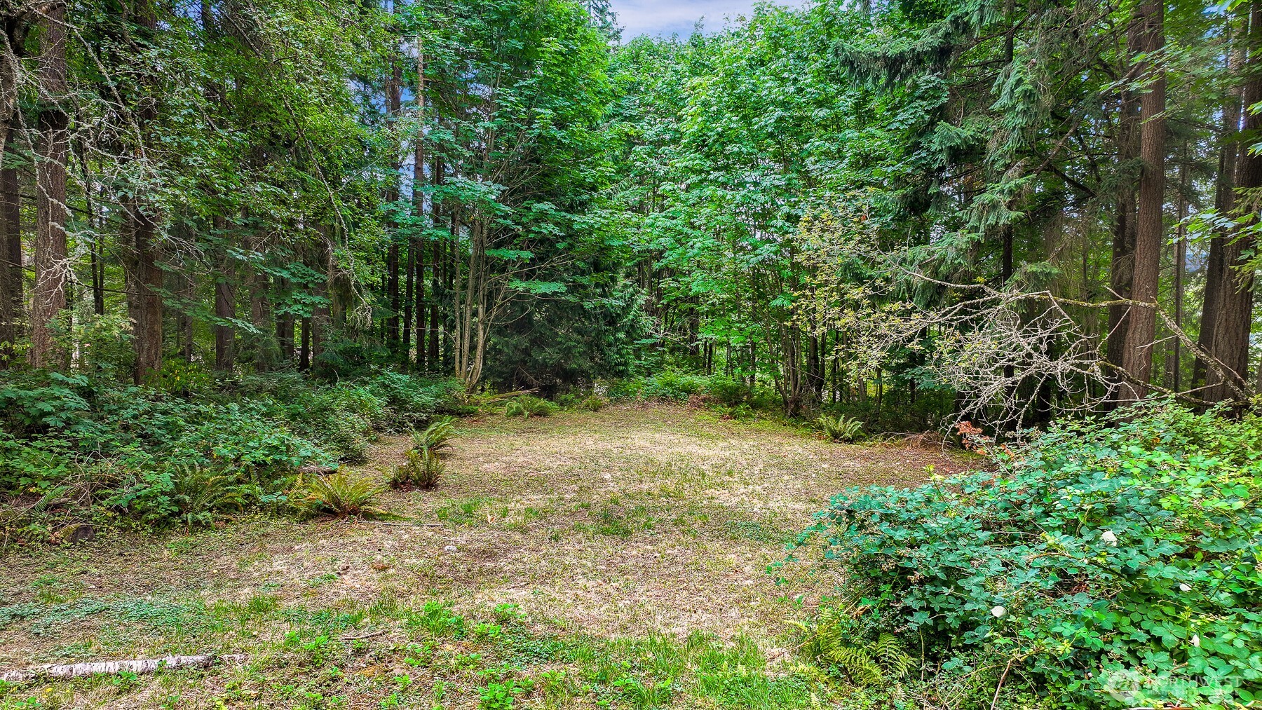 3717 Toad Lake Road Bellingham, WA 98226 - Photo 38 of 39 Gallery Image 38
