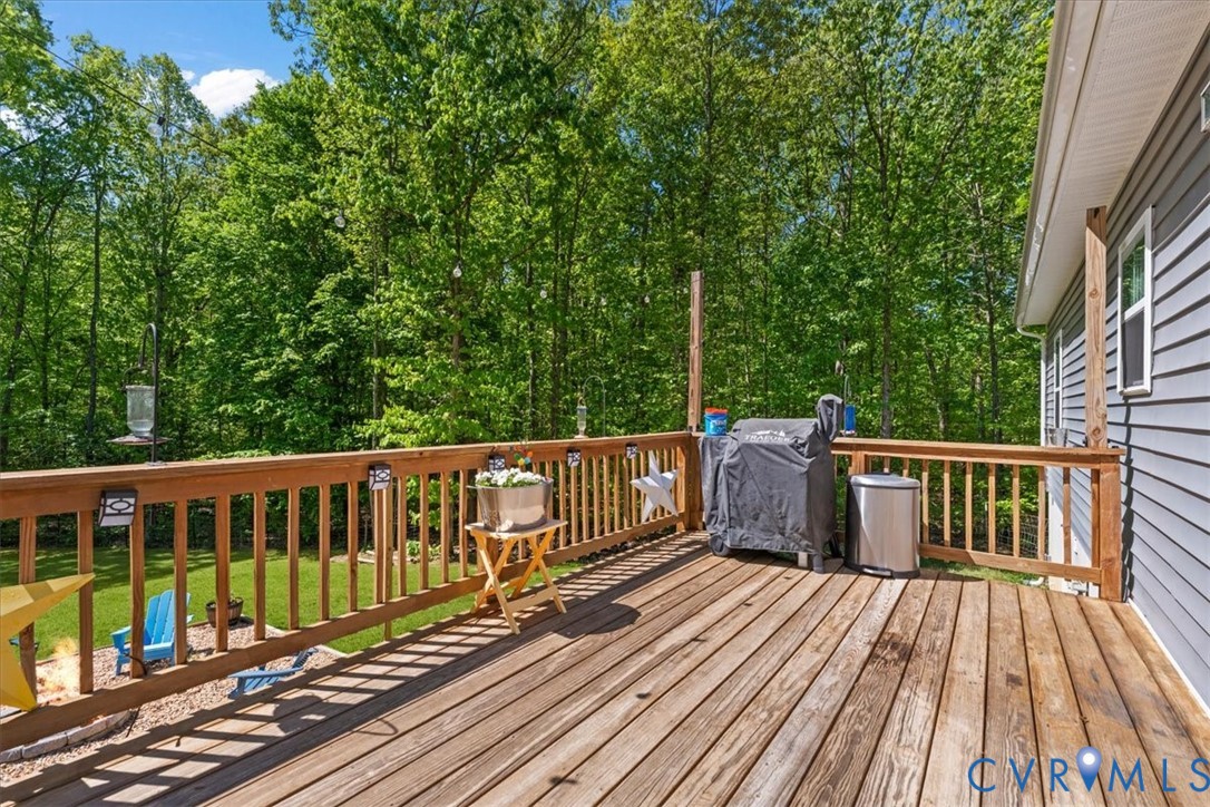 3737 Robinson Road Goochland, VA 23063 - Photo 13 of 45 Gallery Image 13