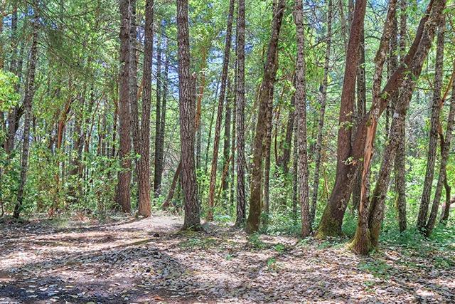 251 Squaw Mountain Road Selma, OR 97538 - Photo 21 of 21 Additional Photo