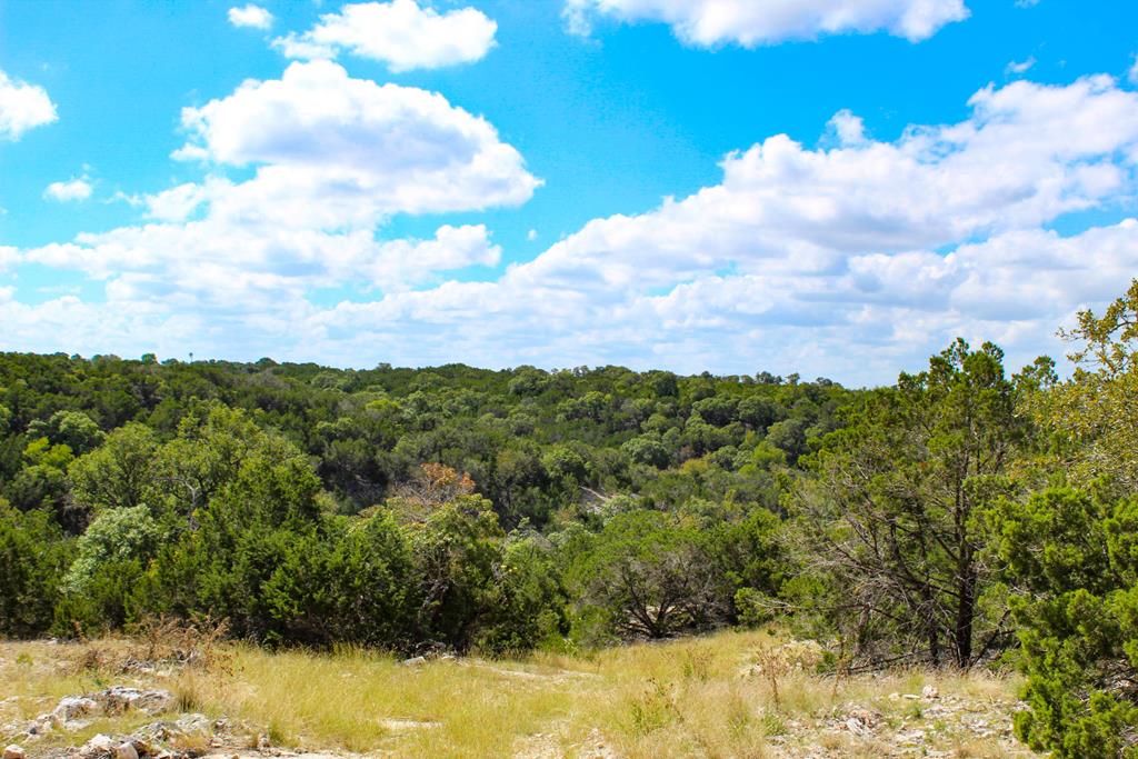 0 Zenner-Ahrens Road Kerrville, TX 78028 - Photo 1 of 1 Main View