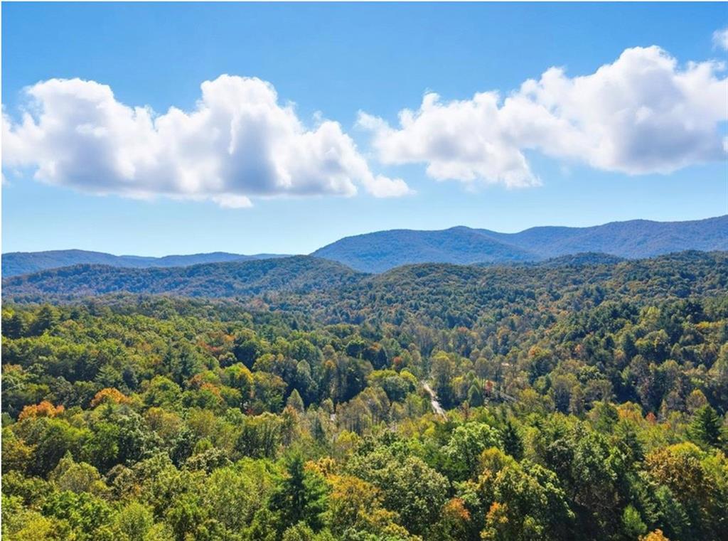 249 Settlement Road Epworth, GA 30541 - Photo 2 of 74