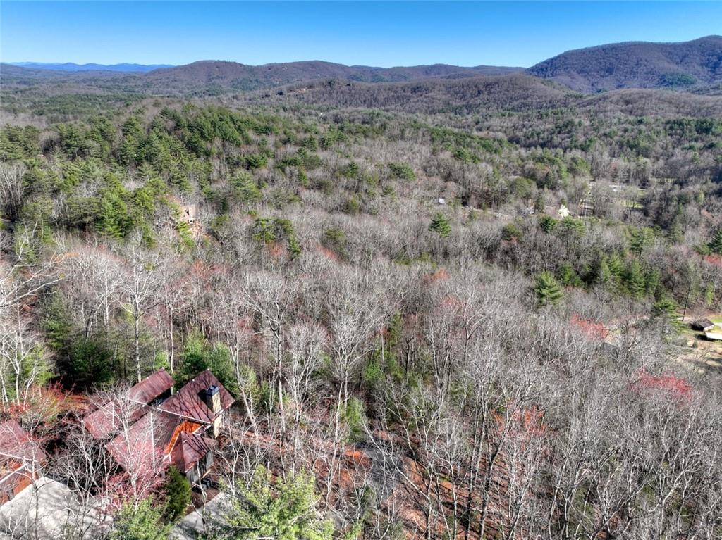 249 Settlement Road Epworth, GA 30541 - Photo 70 of 74 a view of a forest with mountains in the background