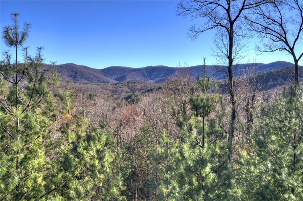 249 Settlement Road Epworth, GA 30541 - Photo 7 of 74 a view of a forest with a tree