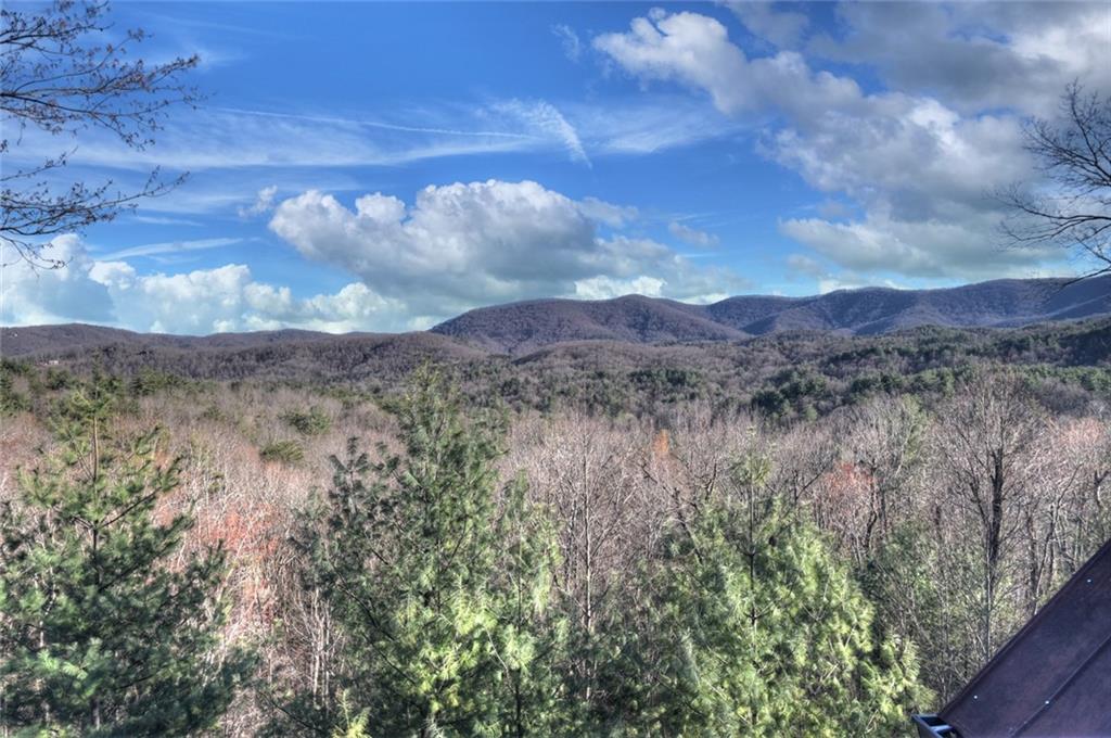 249 Settlement Road Epworth, GA 30541 - Photo 73 of 74 a view of a bunch of trees in a field
