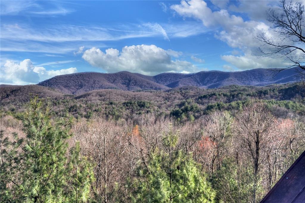 249 Settlement Road Epworth, GA 30541 - Photo 74 of 74 a view of a yard with wooden fence