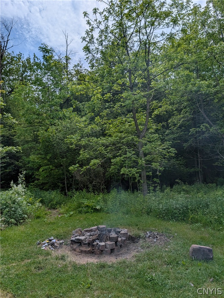 55 Castor Road Pulaski, NY 13142 - Photo 11 of 15