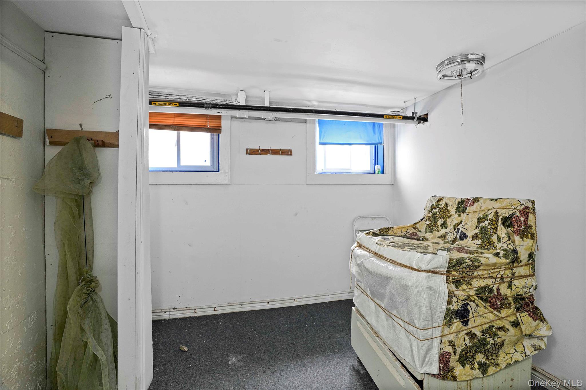 72-07 73rd Street Queens, NY 11385 - Photo 8 of 49 View of below grade area