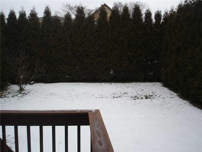 527 Chestnut Street Springdale, PA 15144 - Photo 13 of 13 Exterior Back.