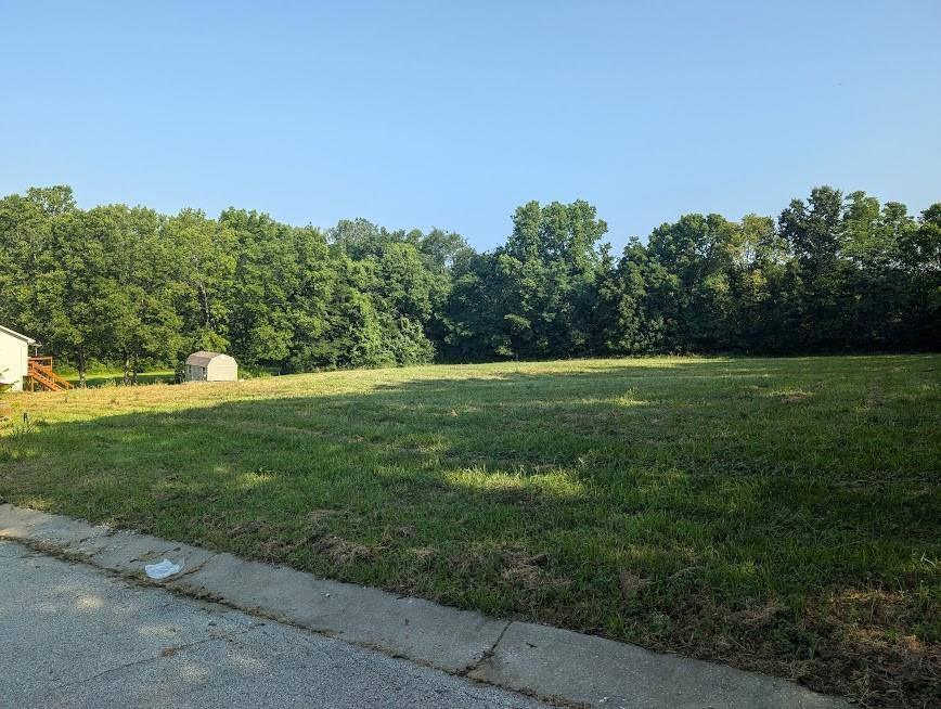 Mccleary Road Excelsior Springs, MO 64024 - Photo 6 of 6