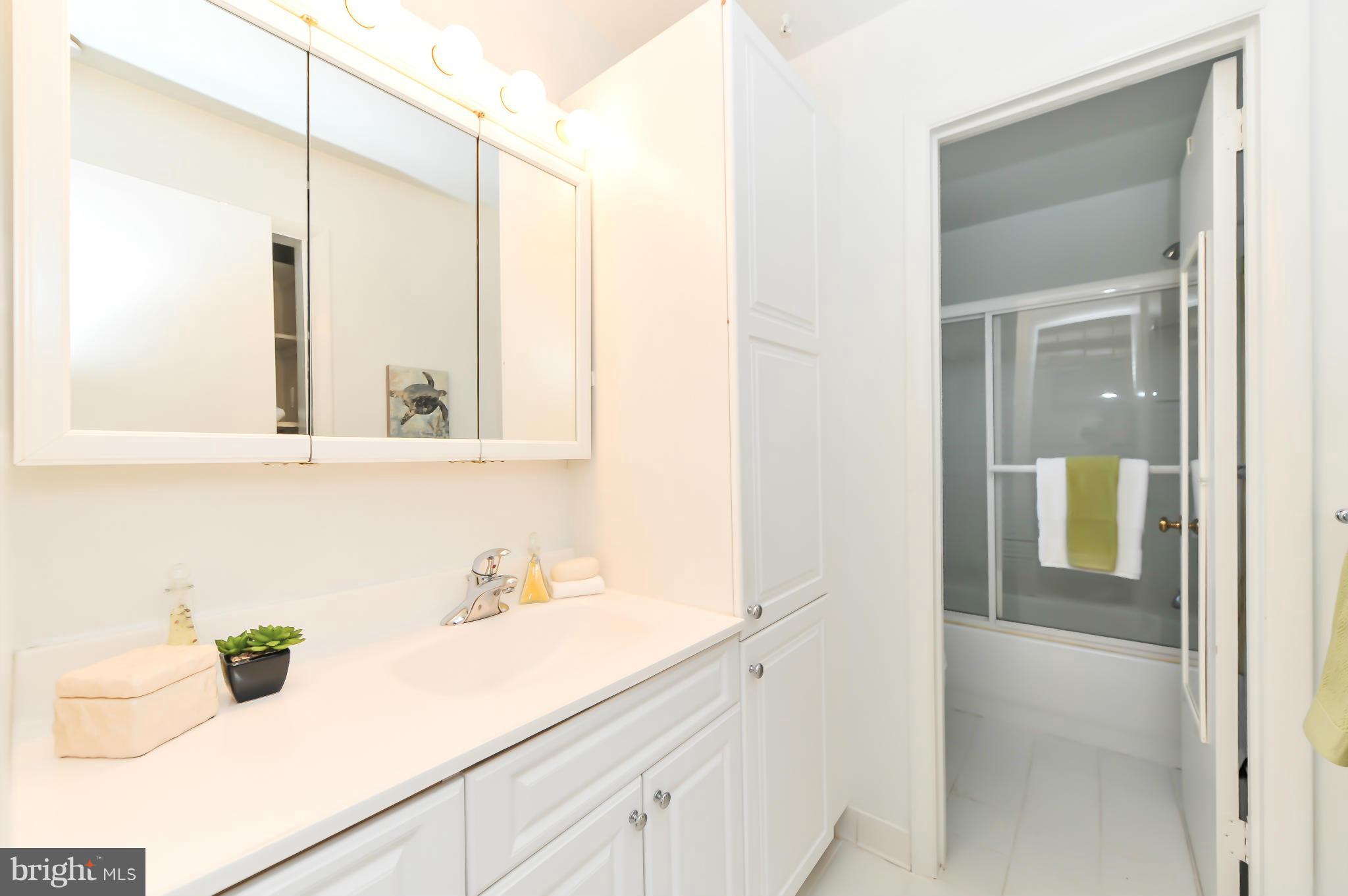 8528 Riverside Road Alexandria, VA 22308 - Photo 24 of 30 Bath (Master)