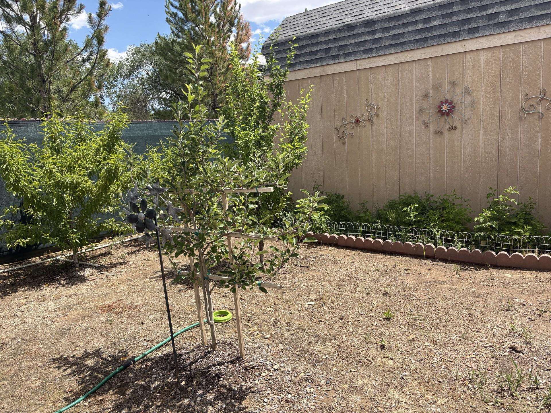 234-28 28 1/2 Road Grand Junction, CO 81503 - Photo 40 of 42
