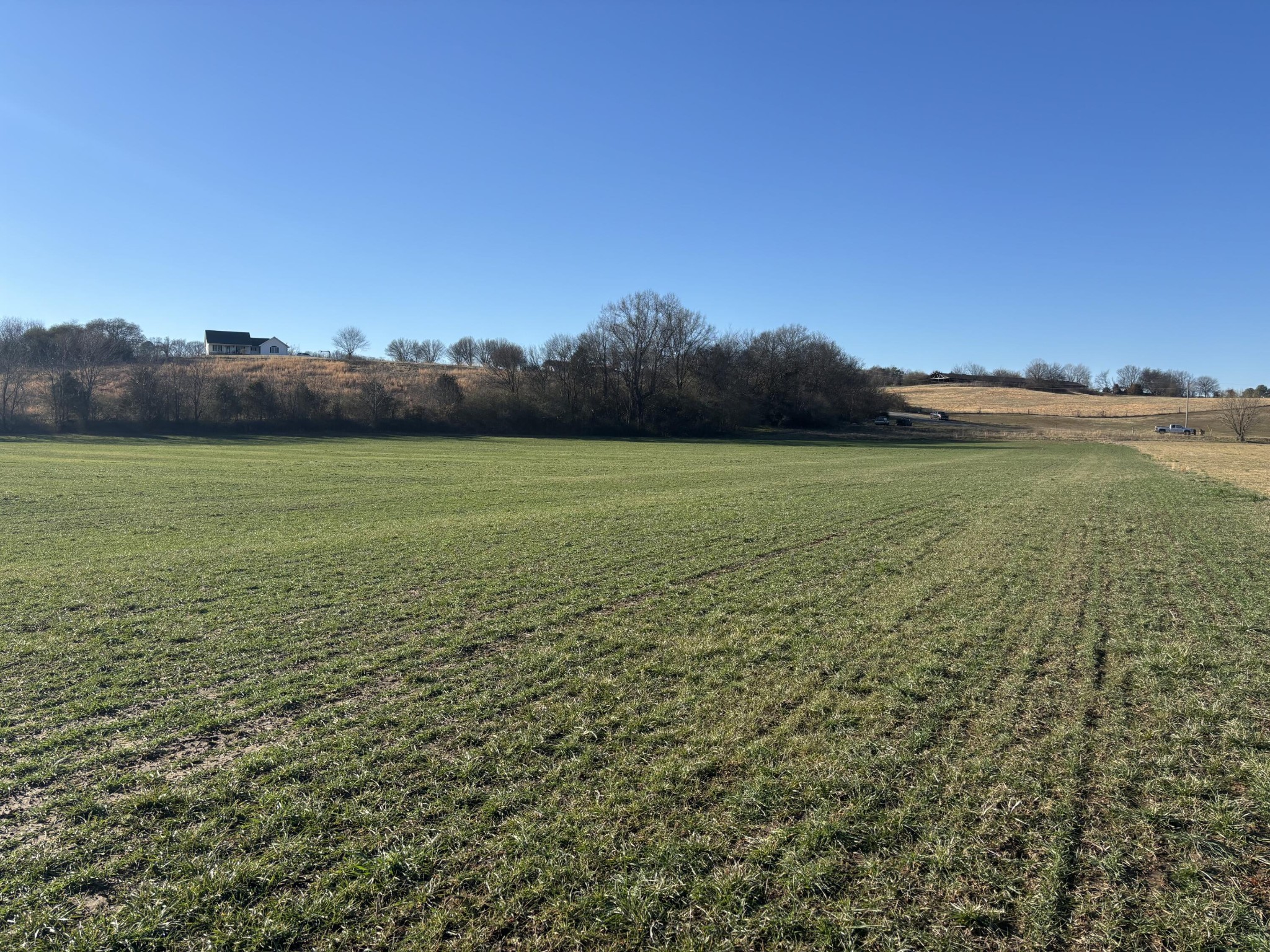 168 Moby Road Delano, TN 37325 - Photo 10 of 20