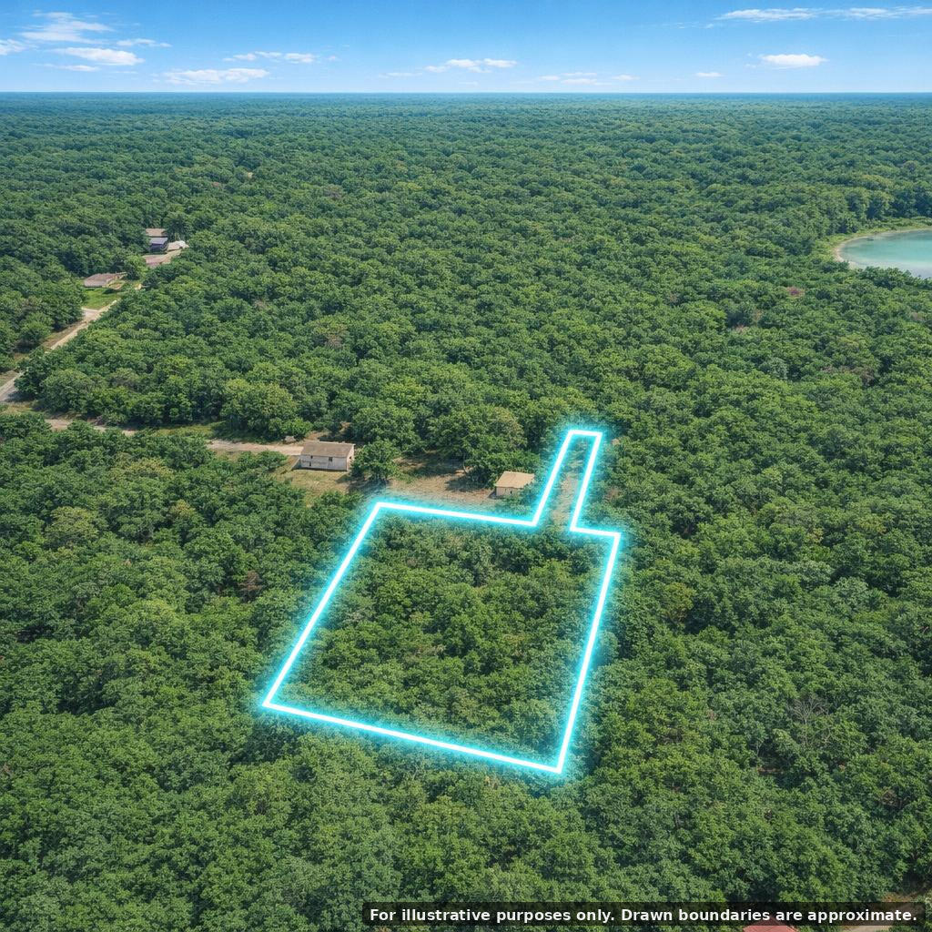 Wilma's Way, Unit PARCEL E Baldwin, MI 49304 - Photo 2 of 13 drone-72