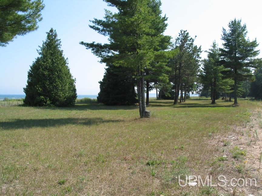 Tbd Thompson Trails Road, Unit PARCEL D Manistique, MI 49854 - Photo 9 of 13