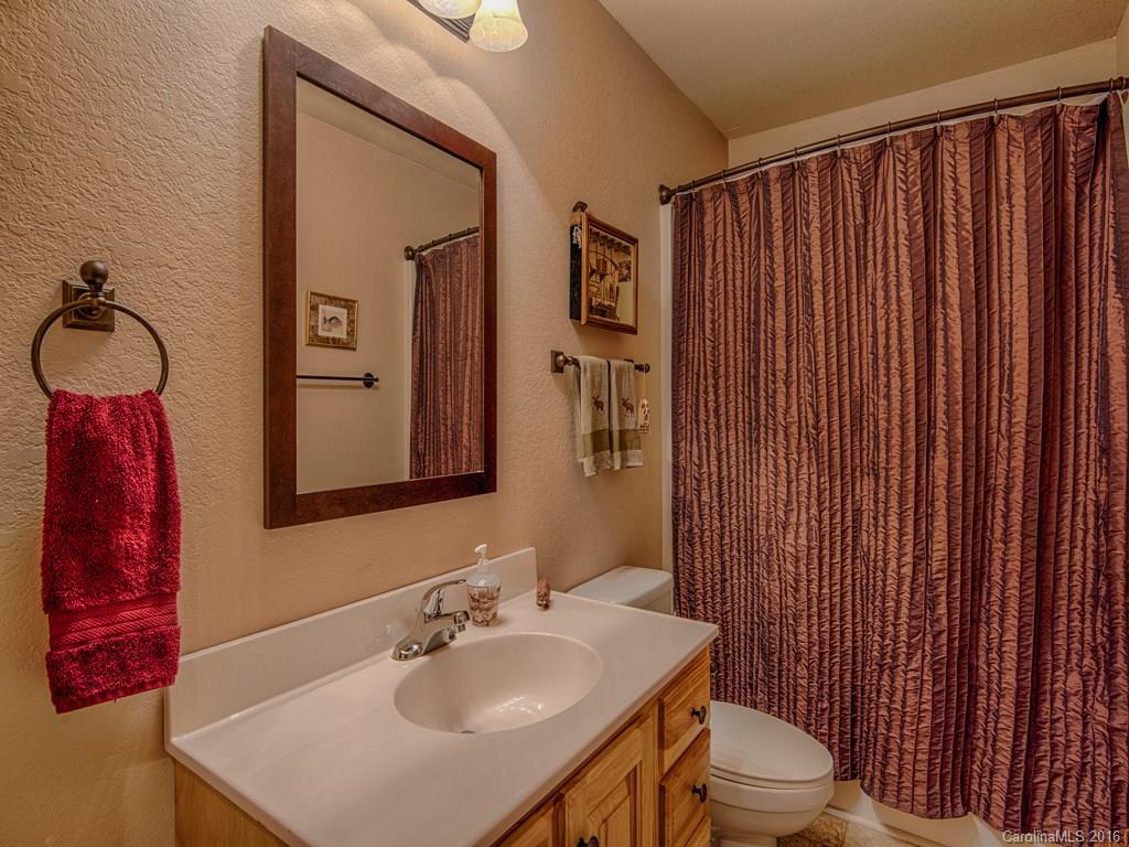 541 Chinquapin Road Canton, NC 28716 - Photo 17 of 23 a bathroom with a sink a toilet and shower curtain