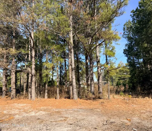 $35,000 | Lot 21 Branch Drive, Burgaw, NC 28425