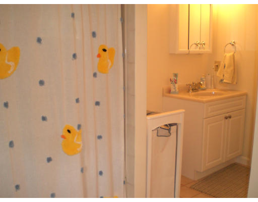 8 Meadowvale Road Burlington, MA 01803 - Photo 10 of 11 Gallery Image 10