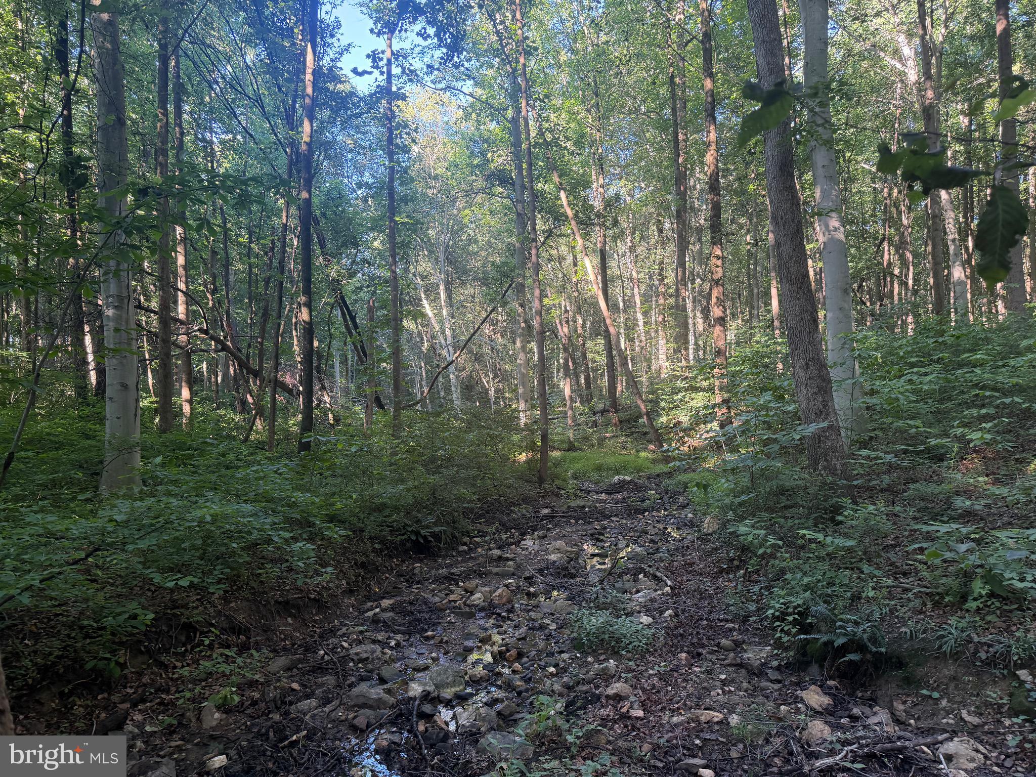 0 Rock Springs Road Conowingo, MD 21918 - Photo 32 of 79