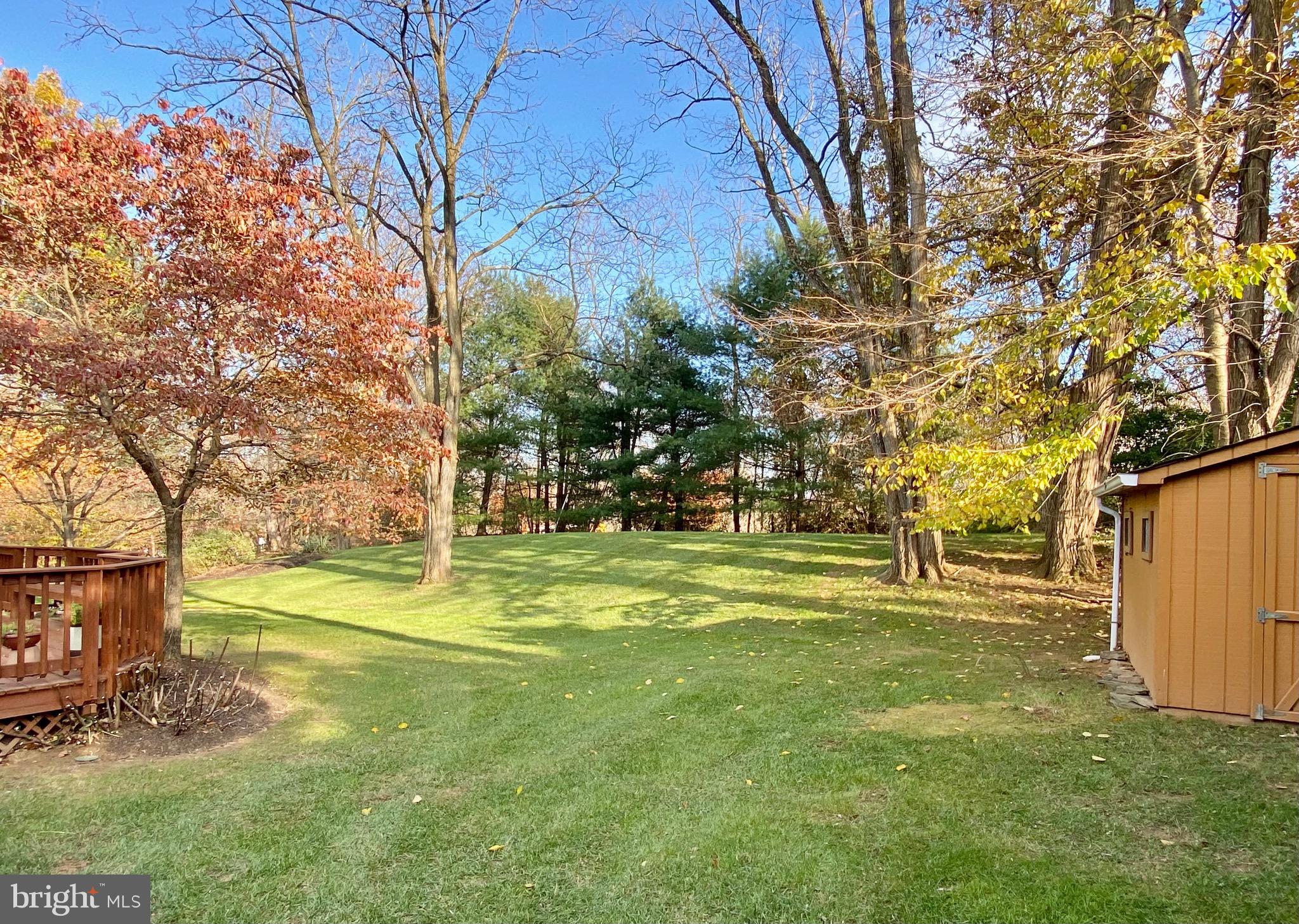 16005 Chester Mill Terrace Silver Spring, MD 20906 - Photo 39 of 42 Look at this gorgeous backyard!
