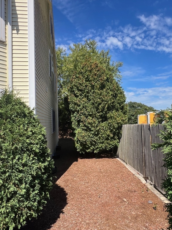 63 Loomis Street, Unit 63 Cambridge, MA 02138 - Photo 21 of 24