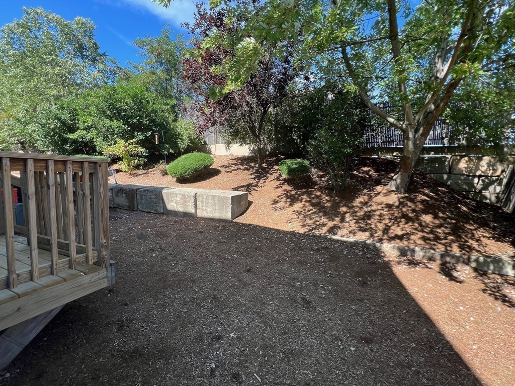 63 Loomis Street, Unit 63 Cambridge, MA 02138 - Photo 22 of 24