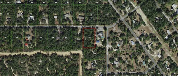 a view of a yard with plants